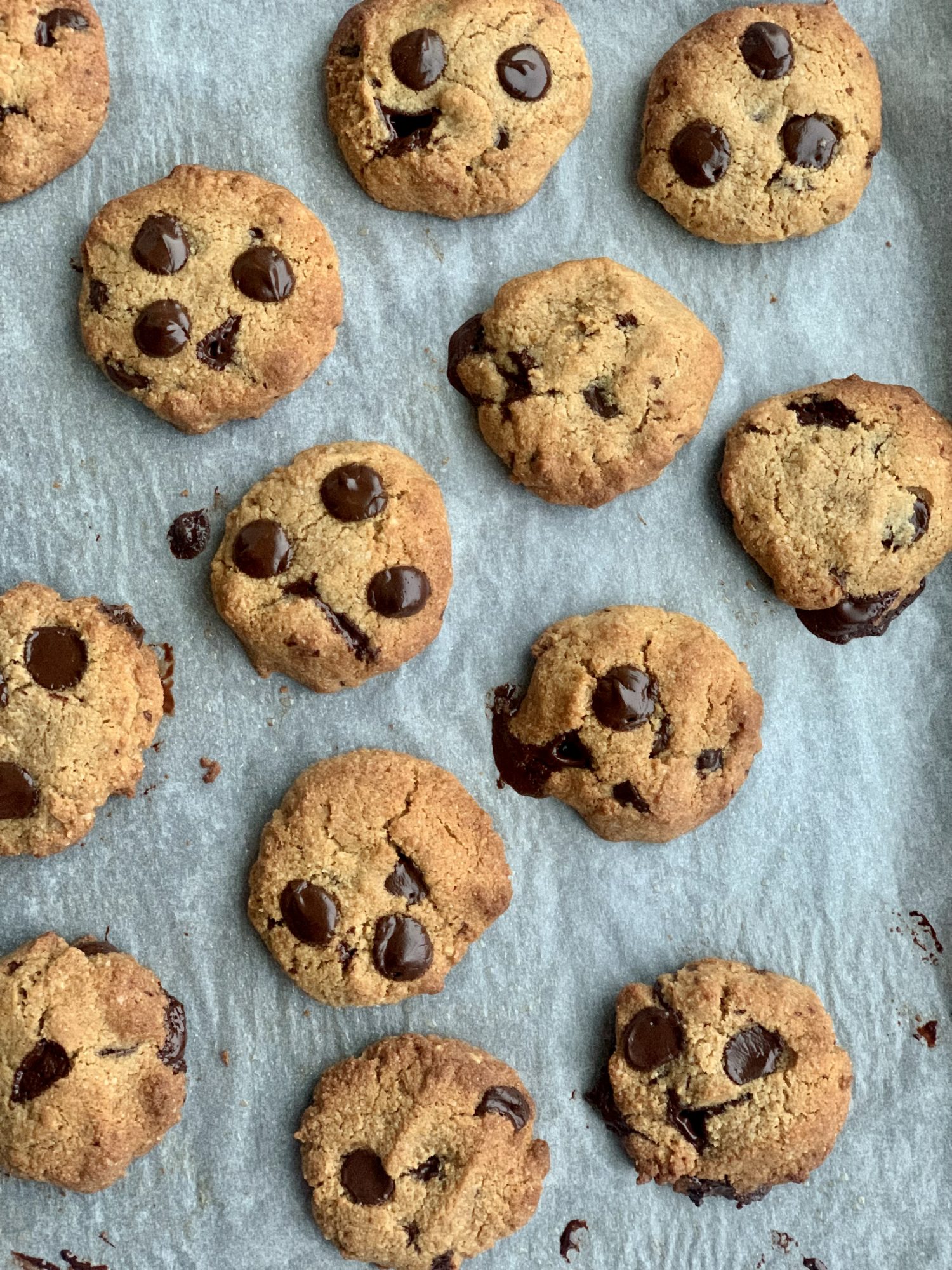 Gluten-free chocolate chips cookies